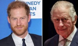 最新爆料哈里,揭秘王室内部惊人真相