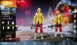 吃鸡新年衣服爆料视频,新年狂欢！吃鸡游戏全新服饰大揭秘